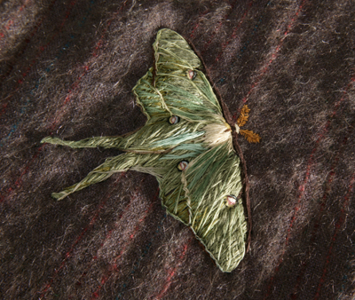 moth-detail002.jpg