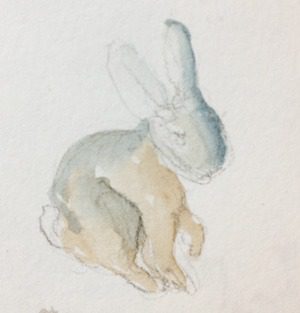 bunny 1